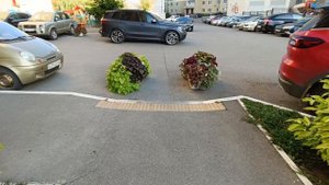 Превосходное цветение во дворе дома Саратов