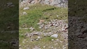 Туры ущелья Адыр-Суу июль 2025.mp4