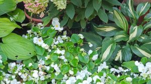 Тест Xiaomi 13 ultra