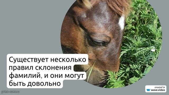 Фамилия Аграриев: история происхождения, значение и особенности склонения - полное руководство