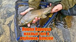 Ловля Хариуса нахлыстом в глубинке Аляски