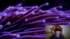 От наёмников к нациям : как Франция изобрела массовую мобилизацию