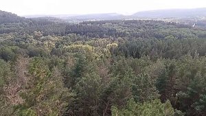 Кисловодск. Вид с Канатной дороги на парк. 29.08.2025 г.