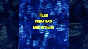 Куда скрыться мне от вьюг