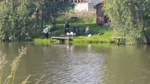Карп 3