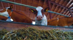 Инвестиционный климат Ишимского округа