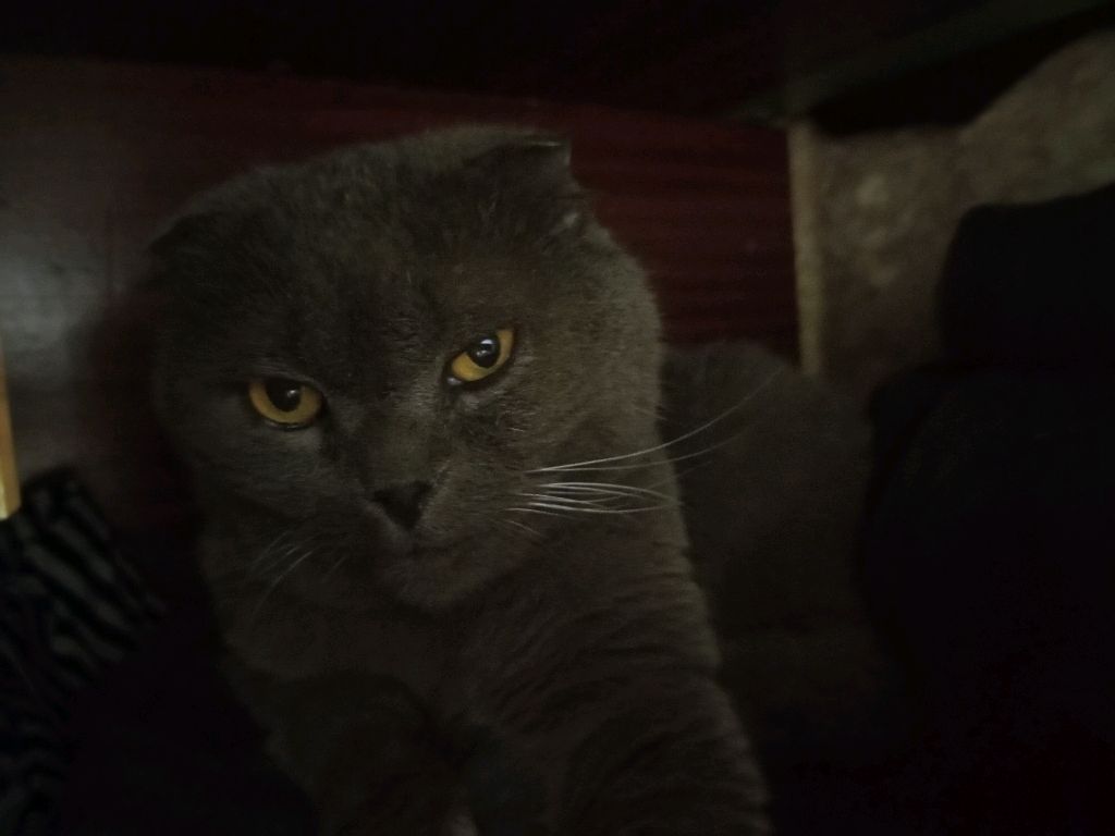 просто стрим