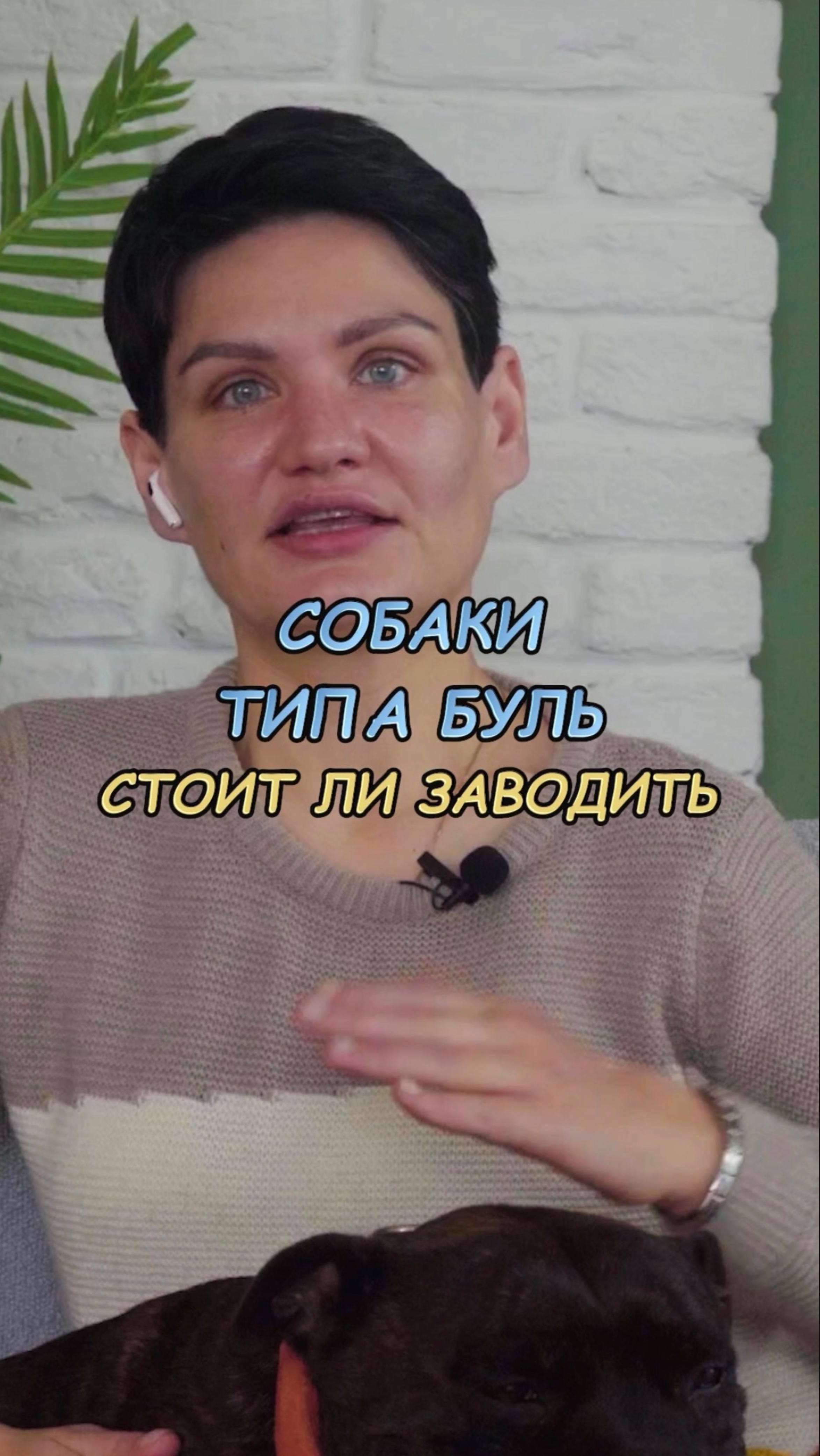 🎁Бесплатные уроки. Жми сюда! смотреть онлайн