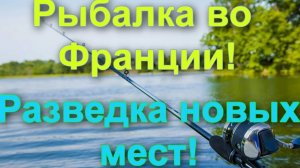 Рыбалка во Франции на реке Сена,поиск новых мест,поймал рыбу улов,пробую разные наживки
