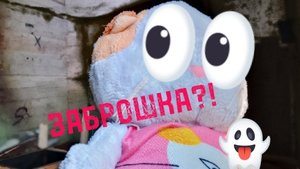 ПРОГУЛКА В ПОЛЕ✌️✨ настолько ли страшная ЗАБРОШКА на самом деле? Тереза пугливая, или осторожная?..