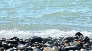 проект АБХАЗИЯ