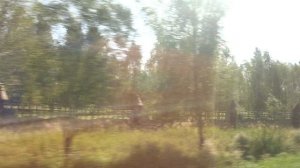 Серпухов, автобус 50/102, участок Мантифельская - Курилово