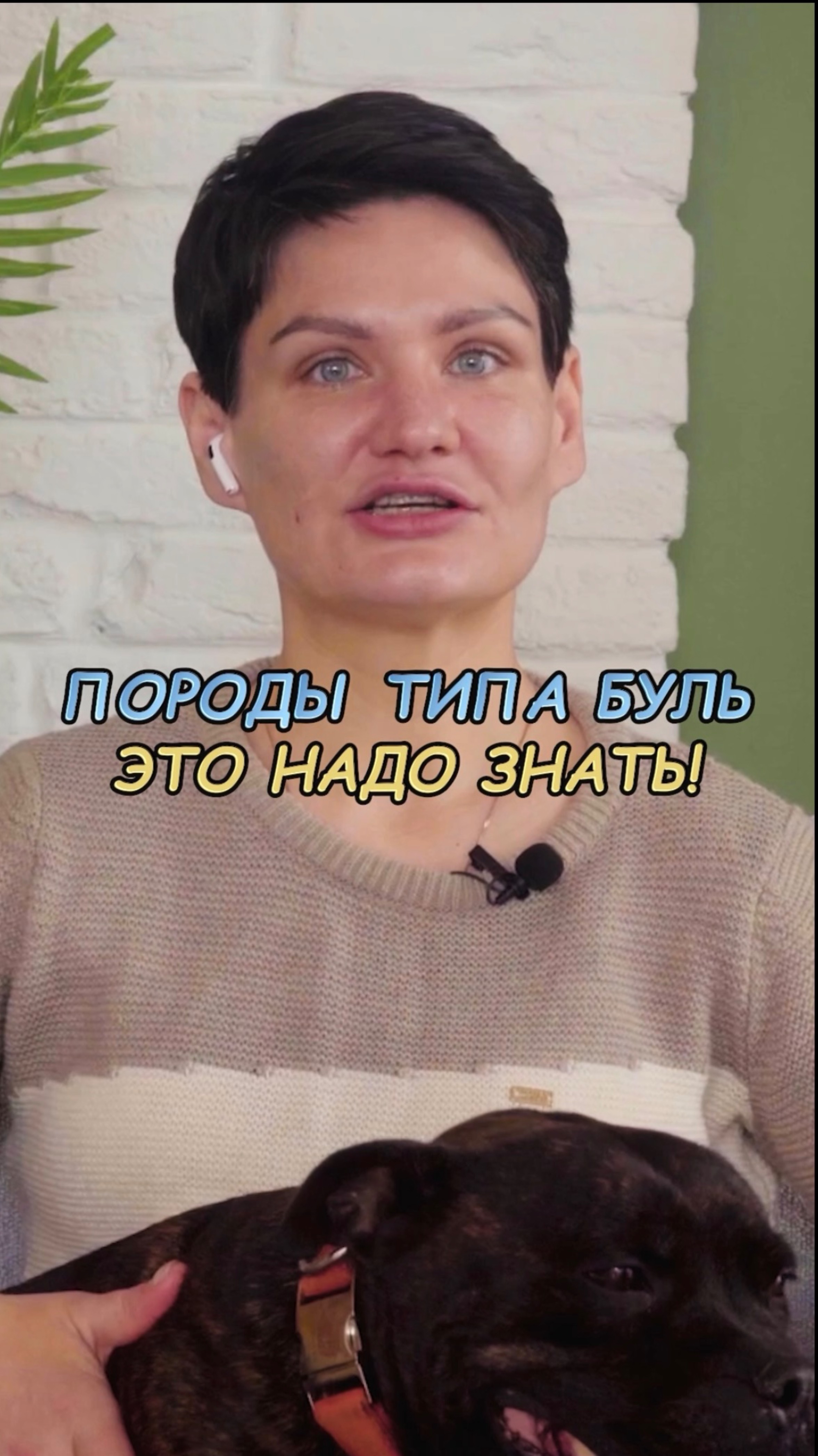 🎁Бесплатные уроки. Жми сюда! смотреть онлайн