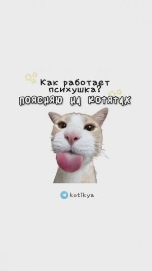 КОТЯТА ПОЯСНЯЮТ / Как работает Психушка? / Как работает Жизнь? / Как работает Тюрьма?