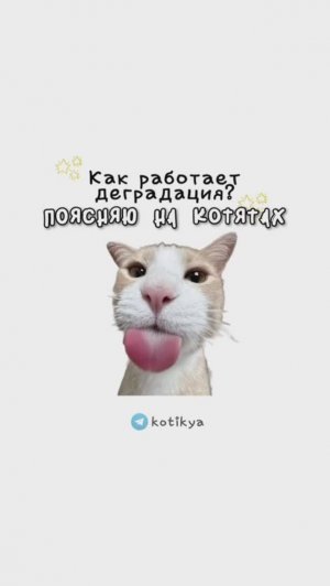 КОТЯТА ПОЯСНЯЮТ / Как работает Деградация? / Как работает Френдзона? / Как работает винишко?