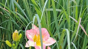 Любимая локация этим летом #2025