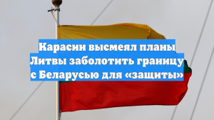 Карасин высмеял планы Литвы заболотить границу с Беларусью для «защиты»
