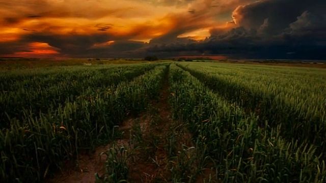 Повстречаюсь с рассветом автор Сибирячка Галина Свиридова исполняет Светлана Полыгалова смотреть онлайн