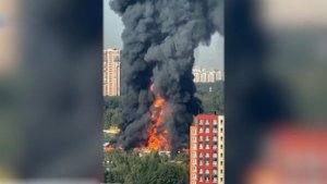 Появились кадры крупного пожара на складе в Балашихе