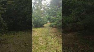 Приморский Дендрариум Сказочное место!!!Поехали на мотоцикле кататься и попали в сказку!