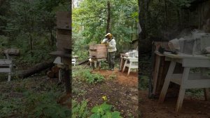 Проверка заполнения