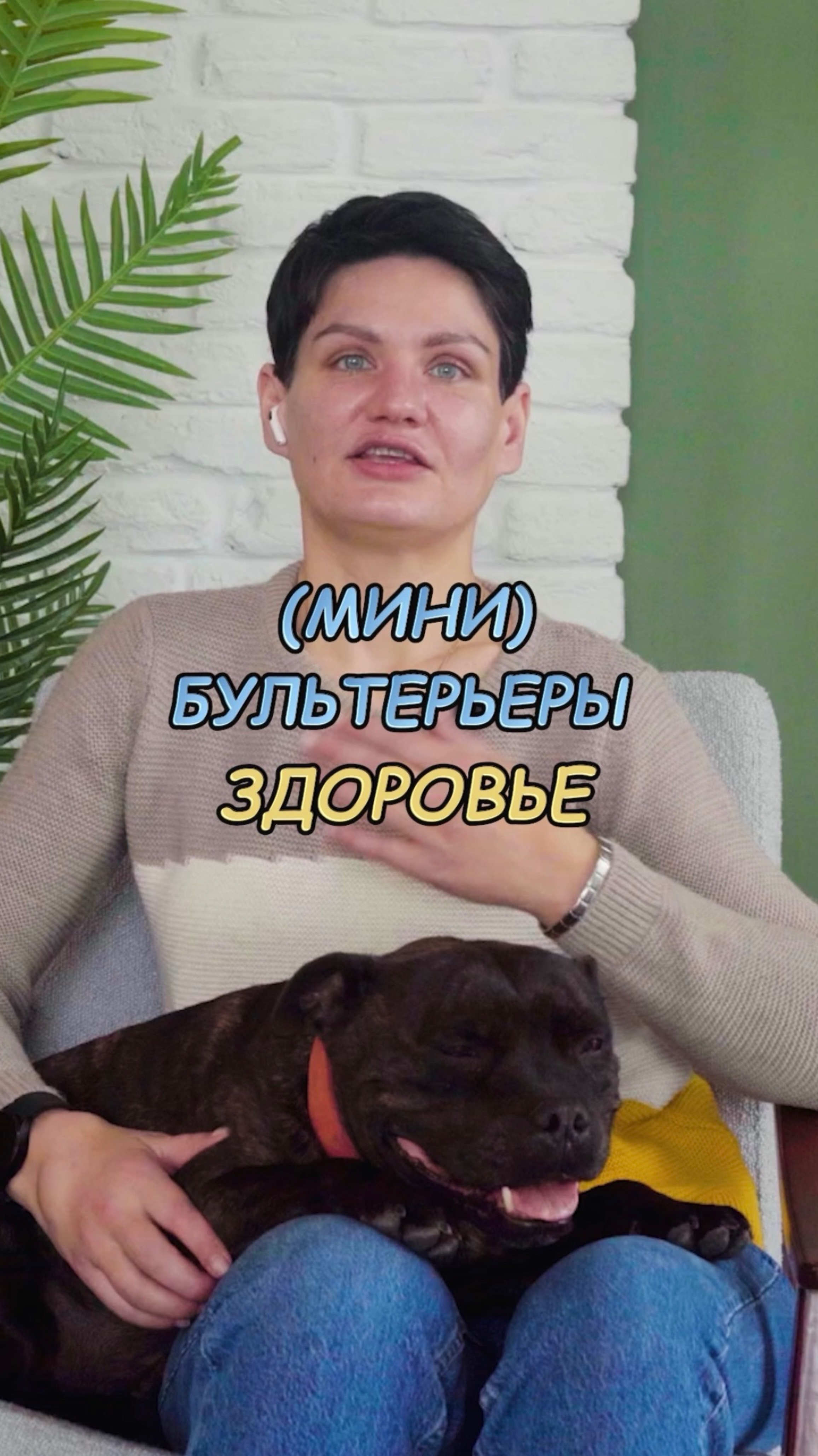 🎁Бесплатные уроки. Жми сюда! смотреть онлайн