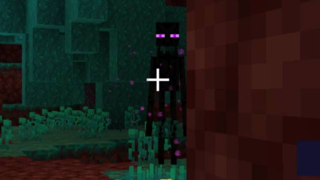 Похождения в Minecraft #46 - Охота на эндерменов