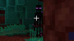 Похождения в Minecraft #46 - Охота на эндерменов