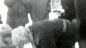 санный поход