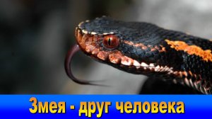 "Наш Сочи" выпуск 66