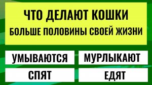 Кто знает ответ на эти вопросы, тот настоящий ЭРУДИТ. интересные тесты на эрудицию