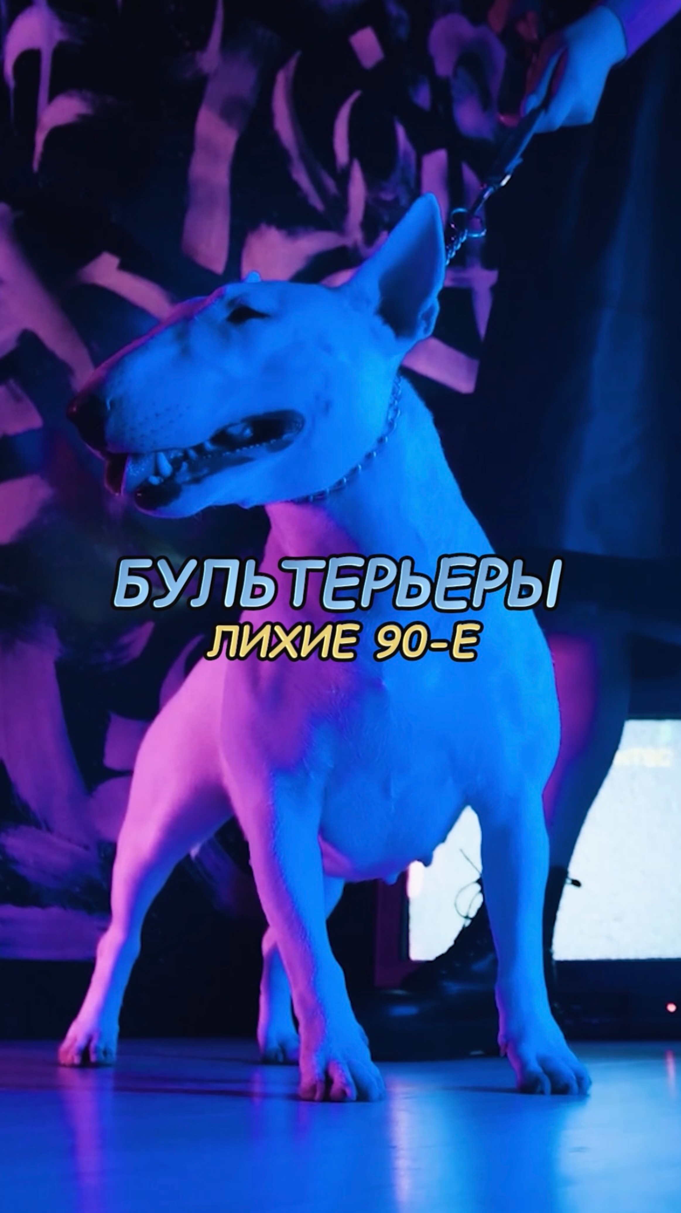 🎁Бесплатные уроки. Жми сюда! смотреть онлайн