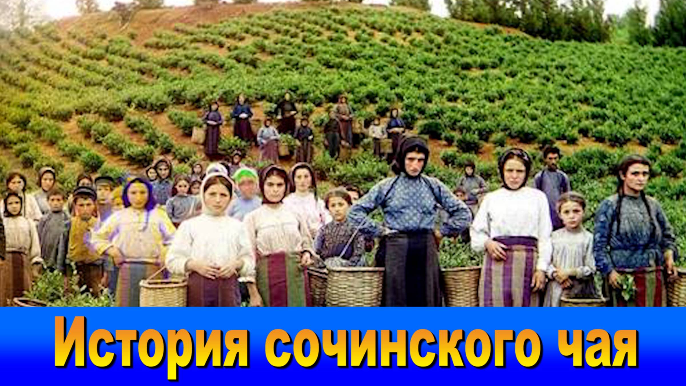 "Наш Сочи" выпуск 58