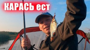 «Крупный карась на поплавок. Рыбалка в Куршском заливе. Давно таких не ловил»