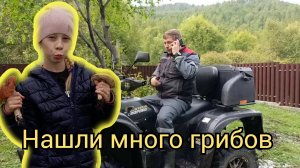 покатушки за грибами на квадроцикле stels leopard 600y на Байкале/столько грибов вижу первый раз