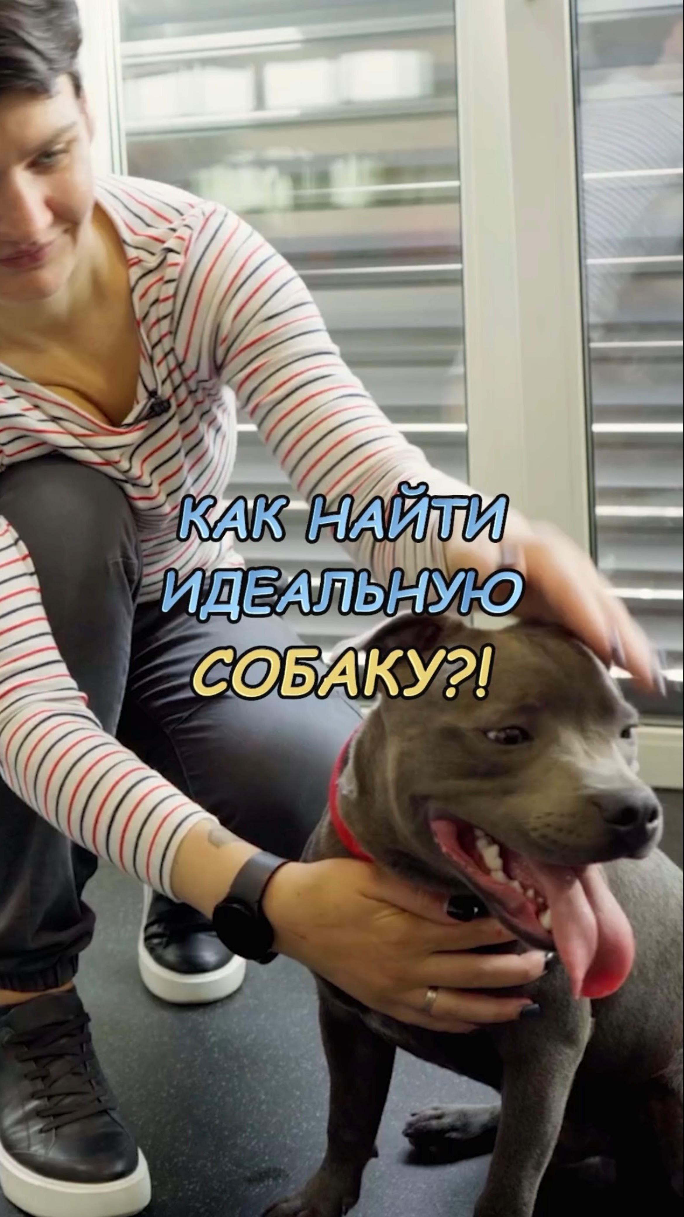 🎁Бесплатные уроки. Жми сюда! смотреть онлайн