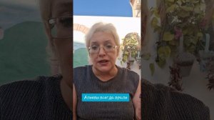 Алиевы всегда врали