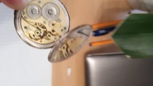 20250831_172919.mp4