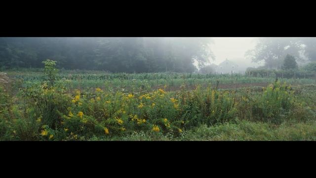 Помню как вчера - Дмитрий Шлетгауэр смотреть онлайн