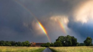 Артём Гельман - Подранок. Посвящается Станиславу Янчишину