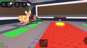 Укради брейнрот Роблокс