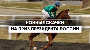 В День Республики Татарстан по традиции прошли скачки на Казанском ипподроме