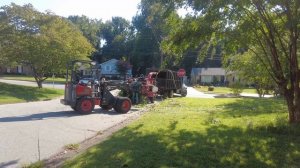 Сколько стоит срубить дерево.