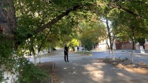 распаковка и примерка фирменной олимпийки DL Audio с молнией