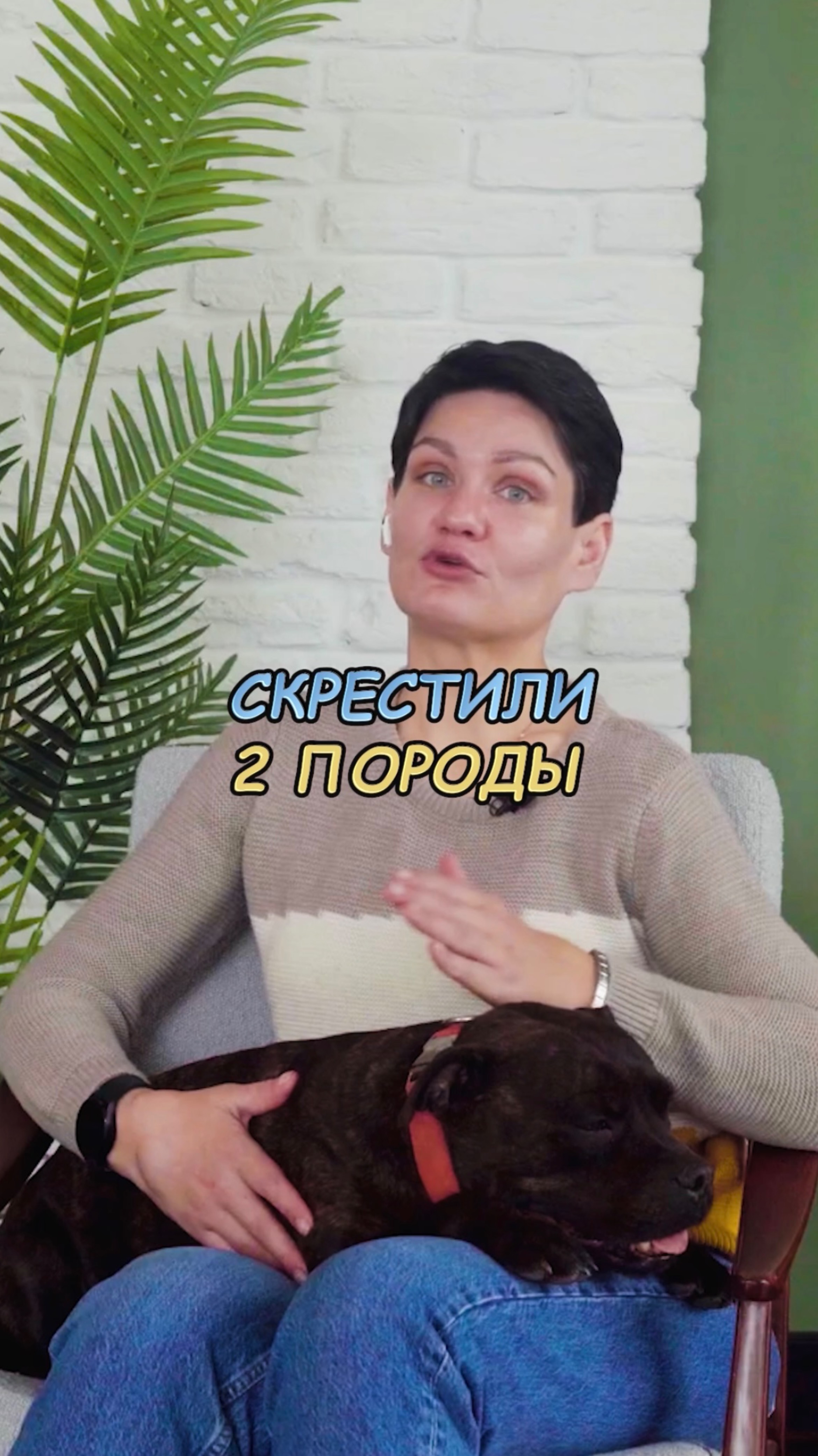 🎁Бесплатные уроки. Жми сюда! смотреть онлайн