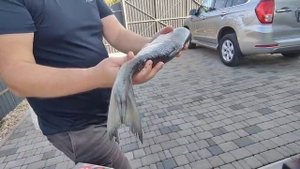 Кижуч горячего копчения
