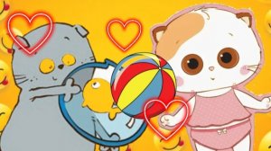 РАЗВЛЕЧЕНИЯ БАСИКА ЛИЛУ И ОСТАЛЬНЫХ!🔥 повседневные занятия✌️❤️