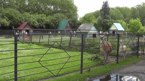 В Большереченском зоопарке.