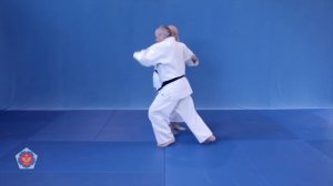 O-soto-gari(о сото гари) Броски на кю 5(желтый пояс) дзюдо