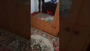 показывают комнату